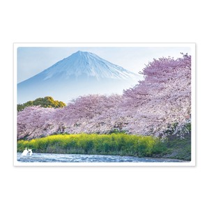 < 春ポストカード >日本の絶景ポストカード JPC-41 潤井川