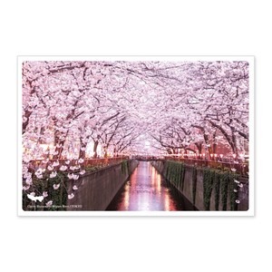 < 春ポストカード >日本の絶景ポストカード JPC-47 目黒川の桜