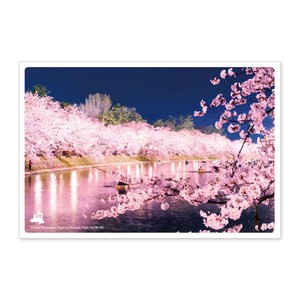 < 春ポストカード >日本の絶景ポストカード JPC-48 弘前公園の夜桜