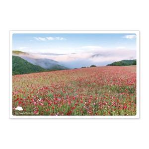 < 春ポストカード >日本の絶景ポストカード JPC-55 天空のポピー
