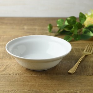 Mino ware Main Plate Western Tableware 16.5cm Made in Japan