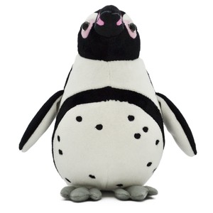 ぬいぐるみ ペンギンコレクション ケープペンギン 00100283