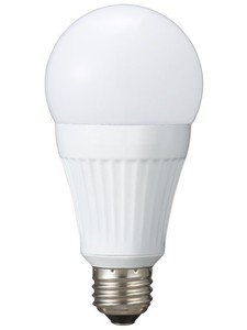 LED電球 E26／100W型
