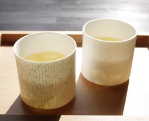 Mino ware Cup/Tumbler Gift Set Rock Glass Miyama Made in Japan