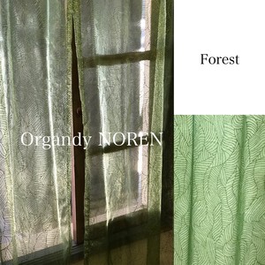 Japanese Noren Curtain Organdy