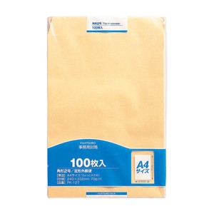 Envelope 100-pcs 2-go