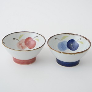 HASAMI Ware with box Apple Hand-Painted Made in Japan