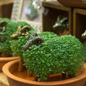 大人気！自分で育てるもこもこヤギ