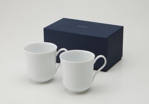 Mino ware Mug Gift Set Miyama Western Tableware Made in Japan