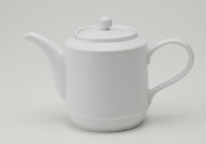 Mino ware Teapot Miyama Western Tableware Made in Japan