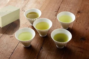美浓烧 日本茶杯 礼品套装 日式餐具 5颜色 日本制造