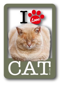 PET-04/I LOVE CAT!ステッカー04 猫好きの方に！ 猫 ねこ ネコ CAT 猫ステッカー PET 愛猫 ペット