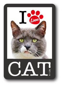 PET-13/I LOVE CAT!ステッカー13 猫好きの方に！ 猫 ねこ ネコ CAT 猫ステッカー PET 愛猫 ペット