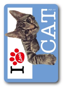 PET-17/I LOVE CAT!ステッカー17 猫好きの方に！ 猫 ねこ ネコ CAT 猫ステッカー PET 愛猫 ペット