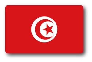SK-367/国旗ステッカー チュニジア（TUNISIA) 国旗100円ステッカー スーツケースステッカー