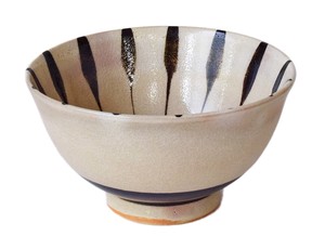 Japanese Plates Rice Bowl Tokusa Rice Bowl Made in Japan
