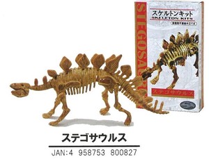 【恐竜スケルトンキット】ステゴサウルス