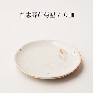 和食器 白志野芦 21.5cm 丸皿 日本製