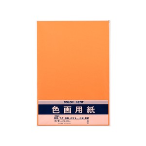 Planner/Notebook/Drawing Paper Orange