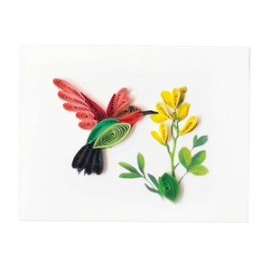 グリーティングカード Hummingbird gift enclosur GE507 ギフト