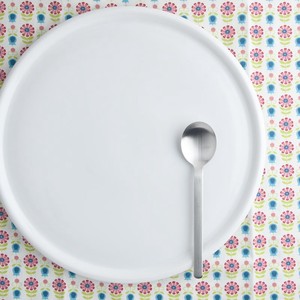Mino ware Main Plate Western Tableware 25.5cm Made in Japan