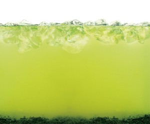 フィルターインボトル750ml 販促用すい色ペーパー　緑