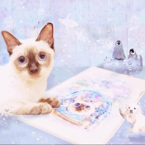 File kyou wa donna hi Cat Folder Clear