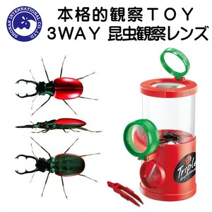 Play 3 way Insect Lens Red