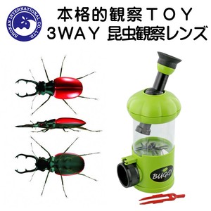 Play 3 way Insect Lens Green