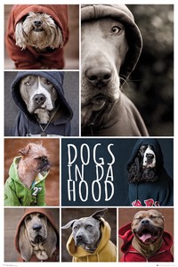 Poster Dog 610 x 915mm