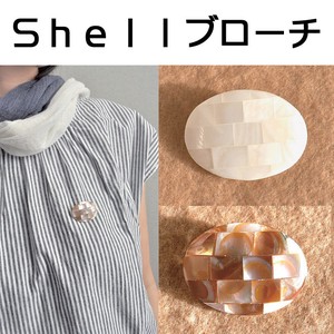 SHELLブローチ　OVAL