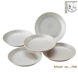 Set Kirara Dish Mino Ware Made in Japan