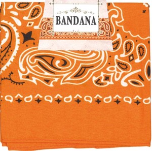 Bandana Orange 53 x 53cm