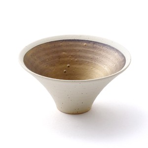 SHIGARAKI Ware White bowl