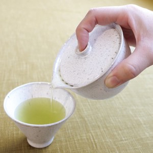 日式茶壶 日本制造