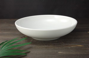 Mino ware Donburi Bowl Western Tableware 21cm Made in Japan