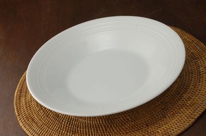 Mino ware Main Plate Western Tableware 22cm Made in Japan