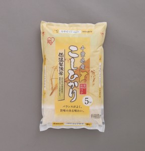 【アイリスオーヤマ　食品　低温製法米】　低温製法米　千葉県産こしひかり