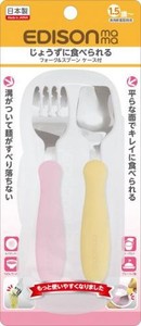 Fork with Case Mango