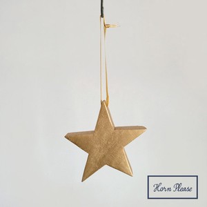 A/W Ornament Star