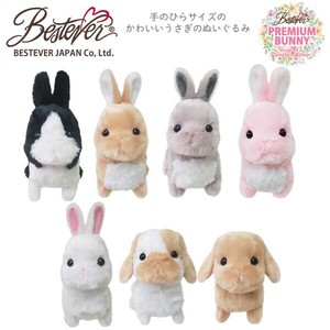 Lop-eared Mini Rabbit Real Rabbit Plush Toy