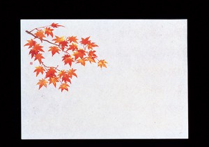 【ヤマコー】 遠赤保鮮紙　小　（100枚入）　紅葉
