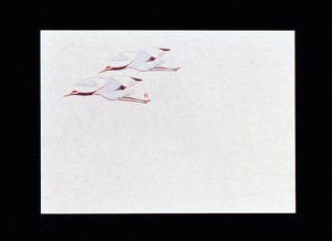 【ヤマコー】 遠赤保鮮紙　小　（100枚入）　鶴