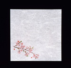 【ヤマコー】 新・濡れ奉書紙（100枚入）　　桜