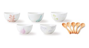 Plates Gift Sets Cafe Donburi Bowl Set Spoon
