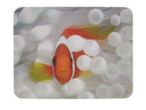 Mouse Pad Clownfish