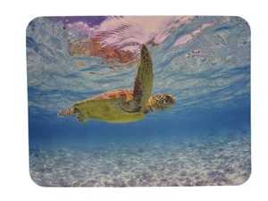 Mouse Pad Animal Sea Turtle