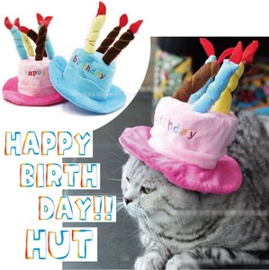 ペット用品  Happybirthday お誕生日 帽子 ハット 犬・猫用  カワイイ ペットの服 ペット服