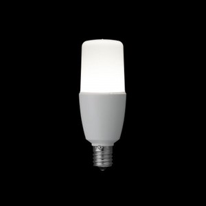 T形LED電球  60W形相当  E17  昼白色 全方向タイプ LDT8NGE17