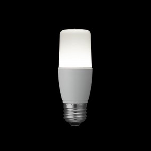 T形LED電球  40W形相当  E26  昼白色 全方向タイプ LDT5NG